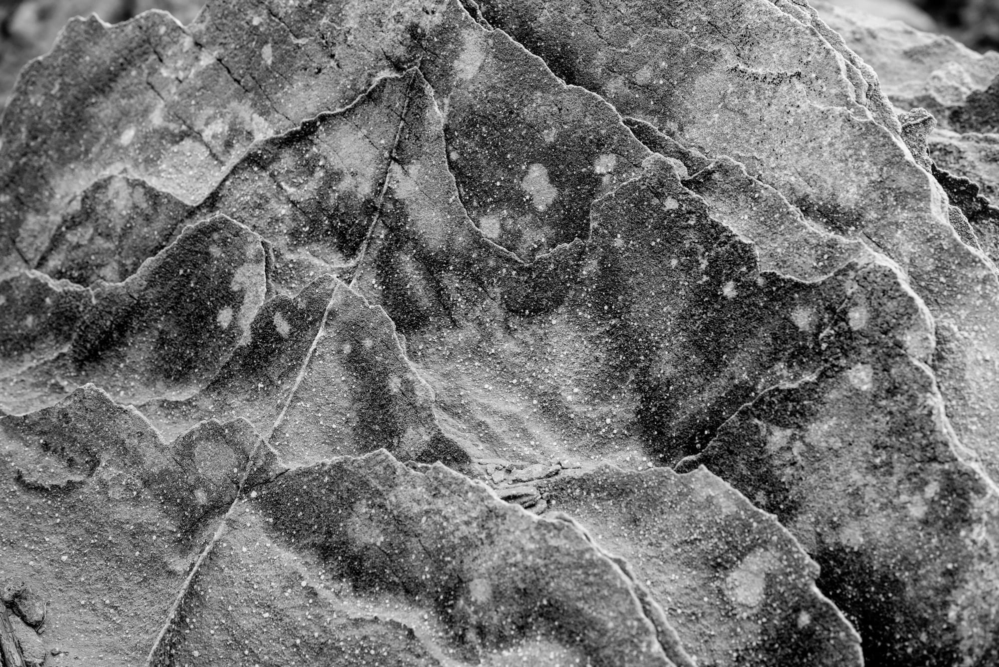 Calendar for Upcoming Workshops - Santa Fe Workshops