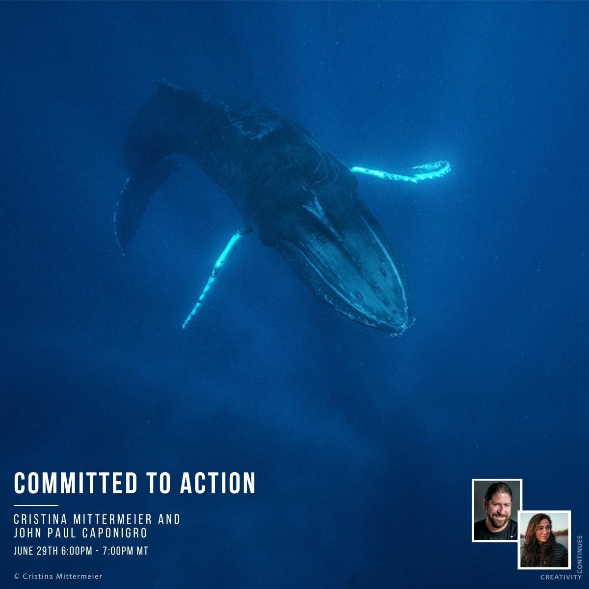 Committed to Action: Cristina Mittermeier and John Paul Caponigro