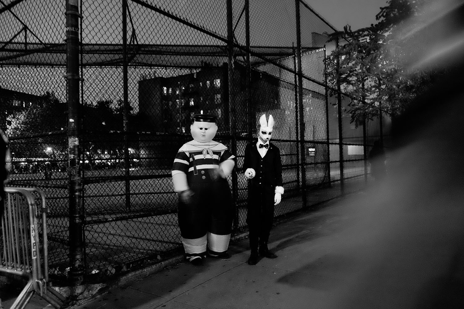 © Sonia Goydenko