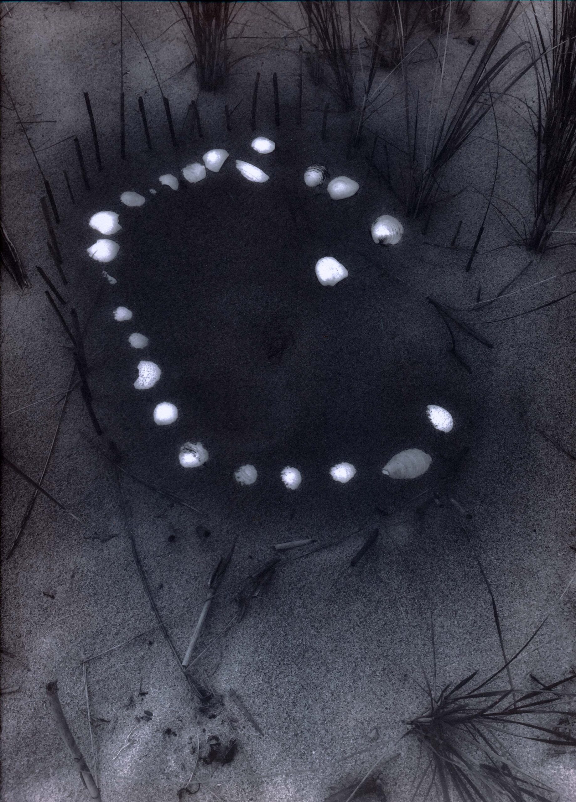 © Anne Eder