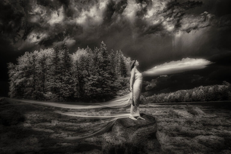 © Laurie Klein