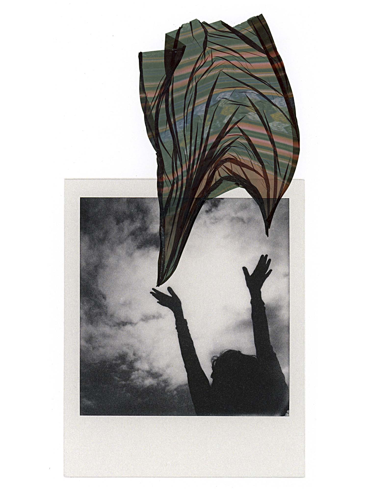 © Liz Potter