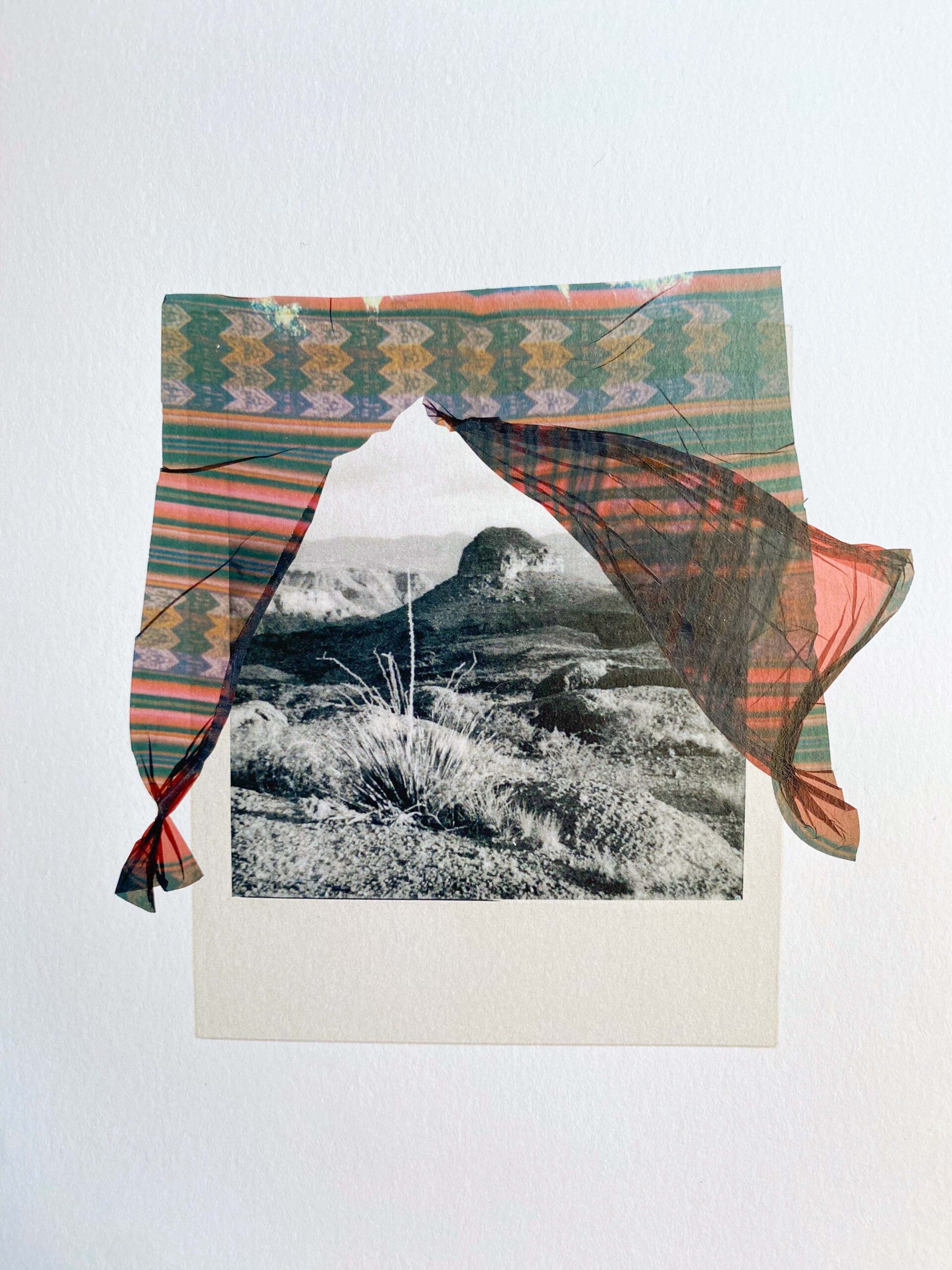 © Liz Potter