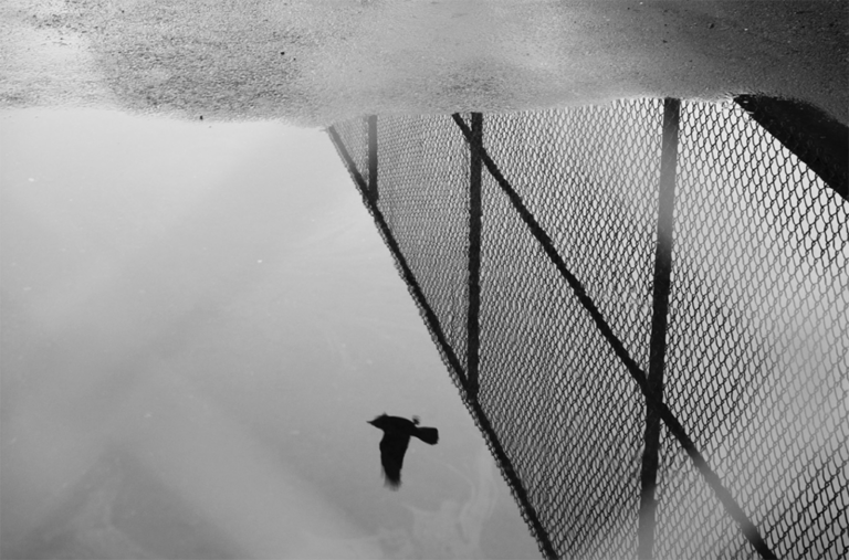 © M. H. Rubin