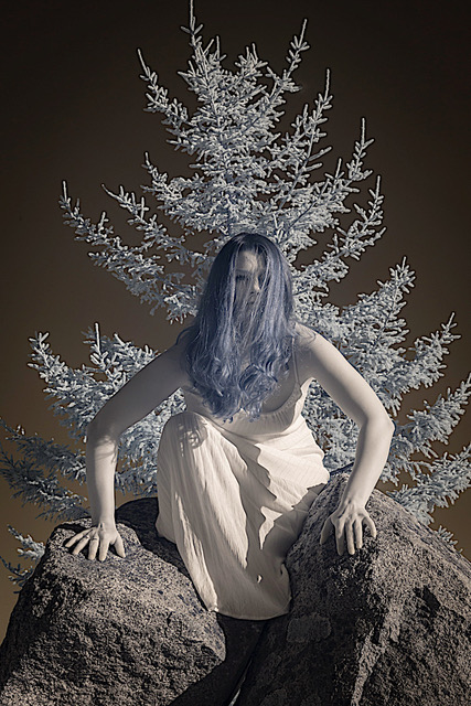© Laurie Klein
