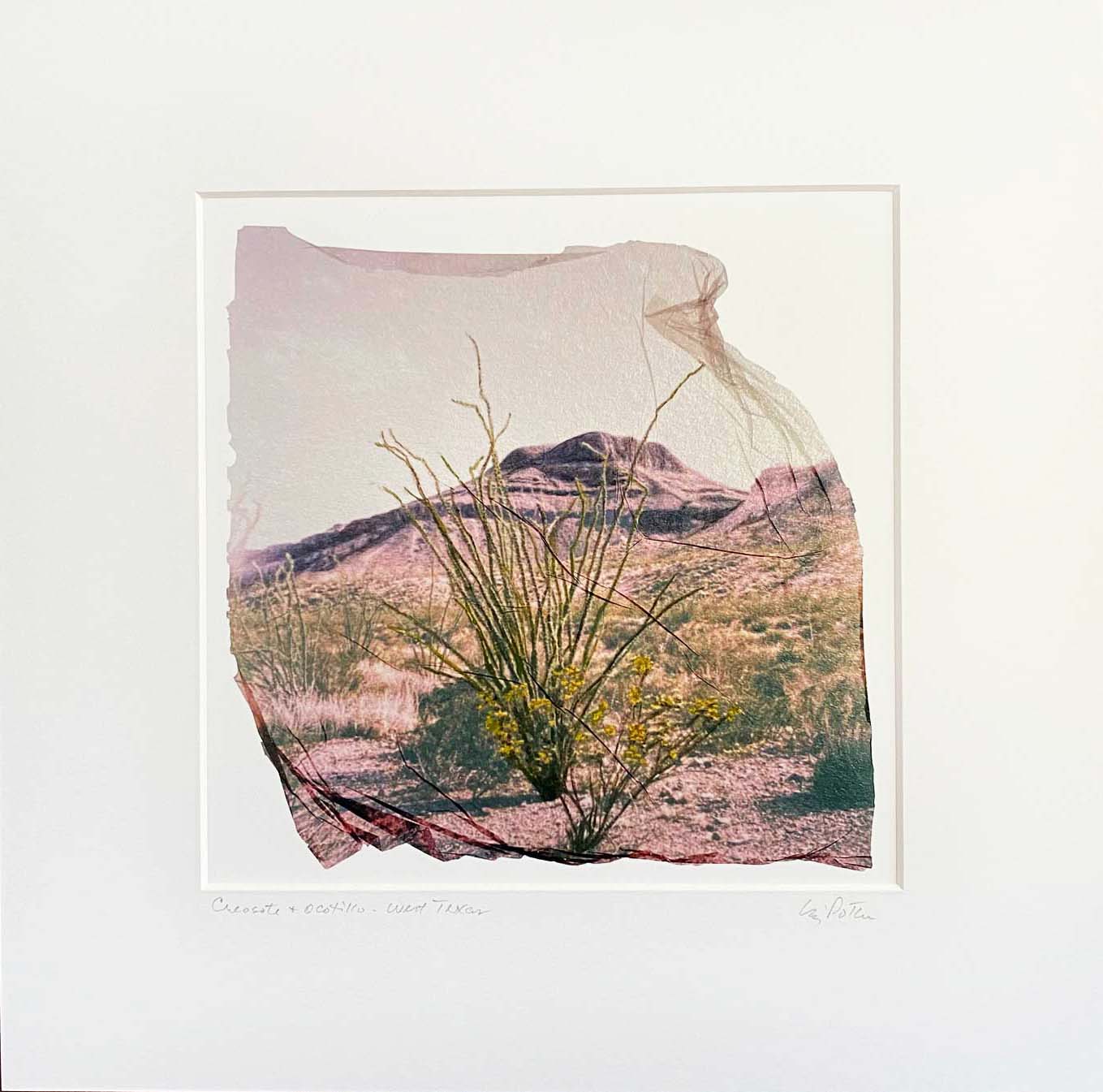 © Liz Potter