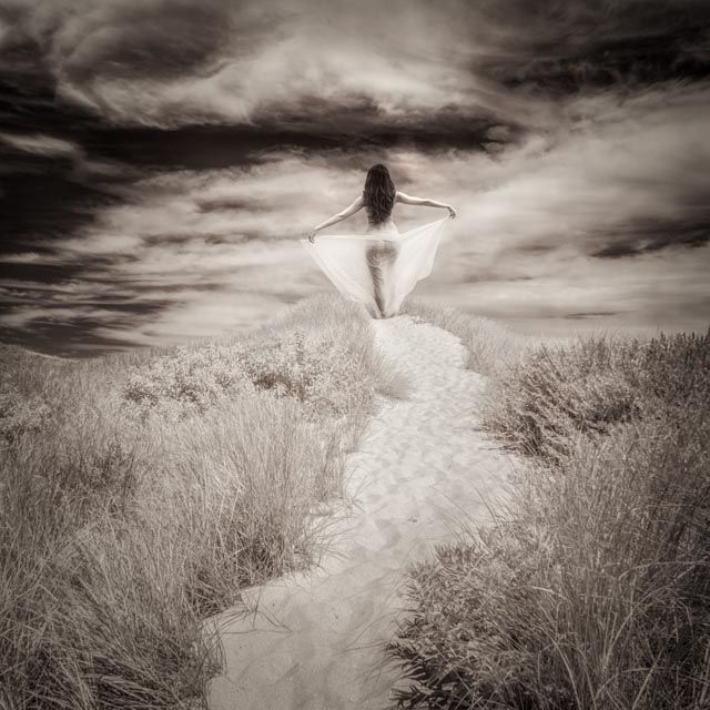 © Shelley Vandegrift