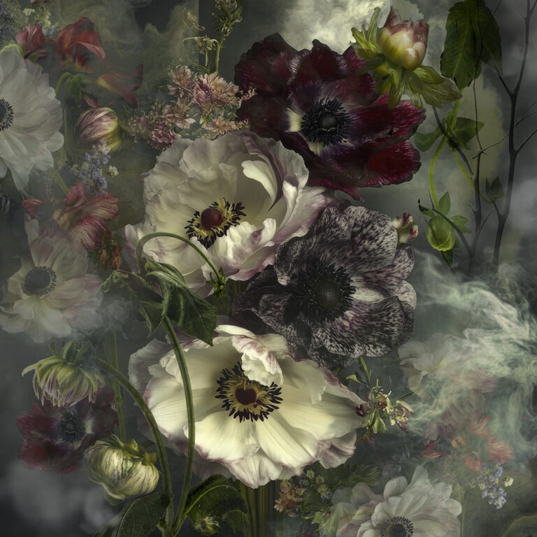 © Ryn Clarke