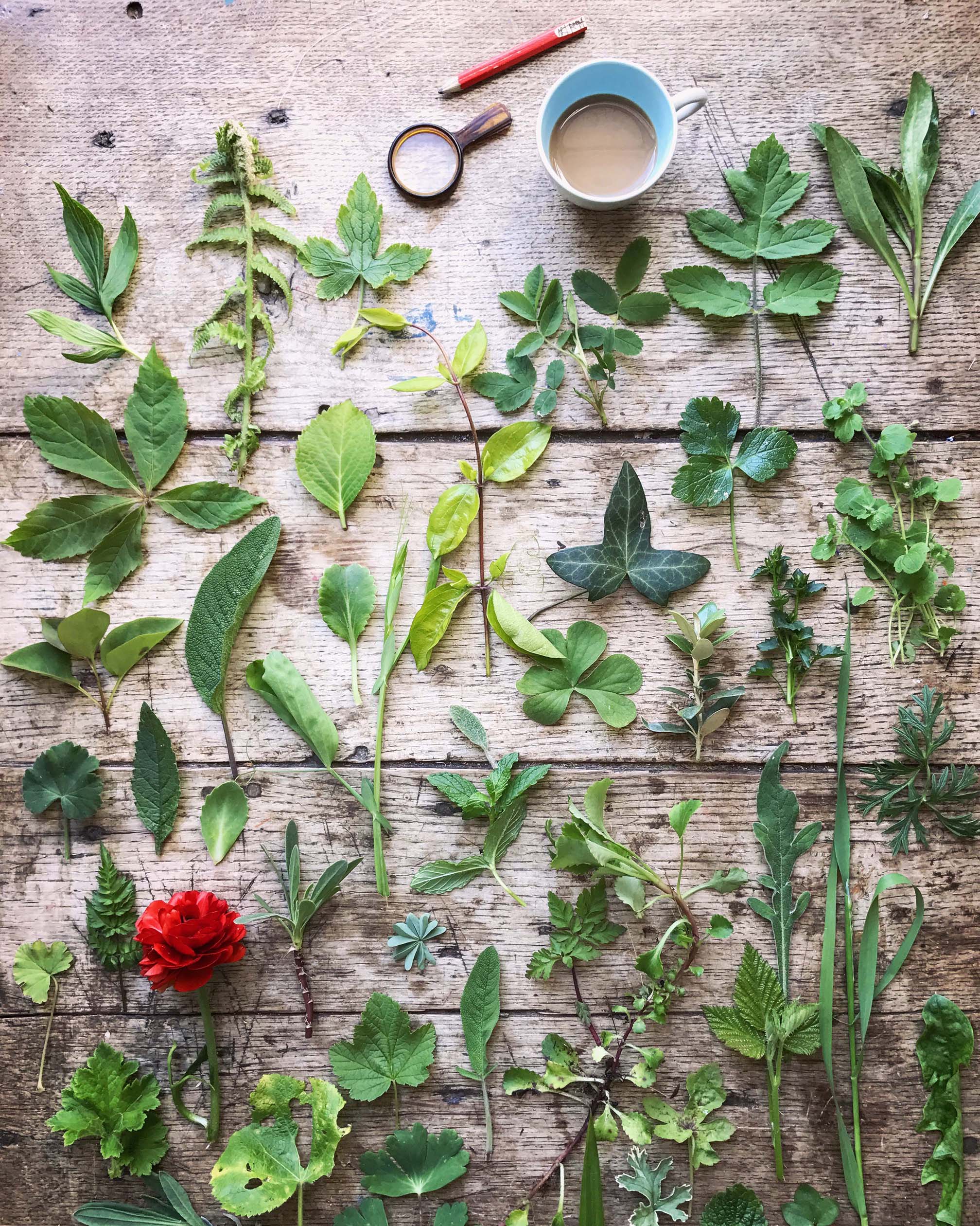© Philippa Stanton
