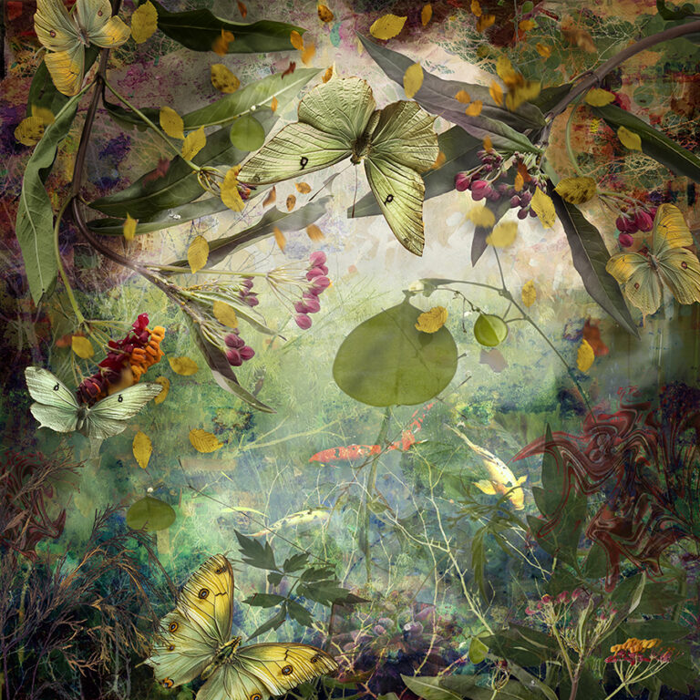 © Ryn Clarke