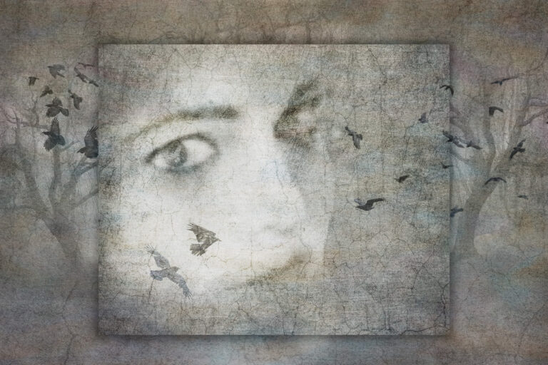 © Shelley Vandegrift