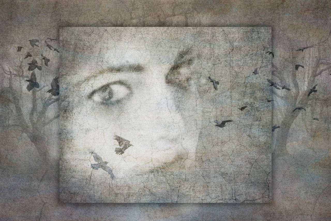 © Shelley Vandegrift