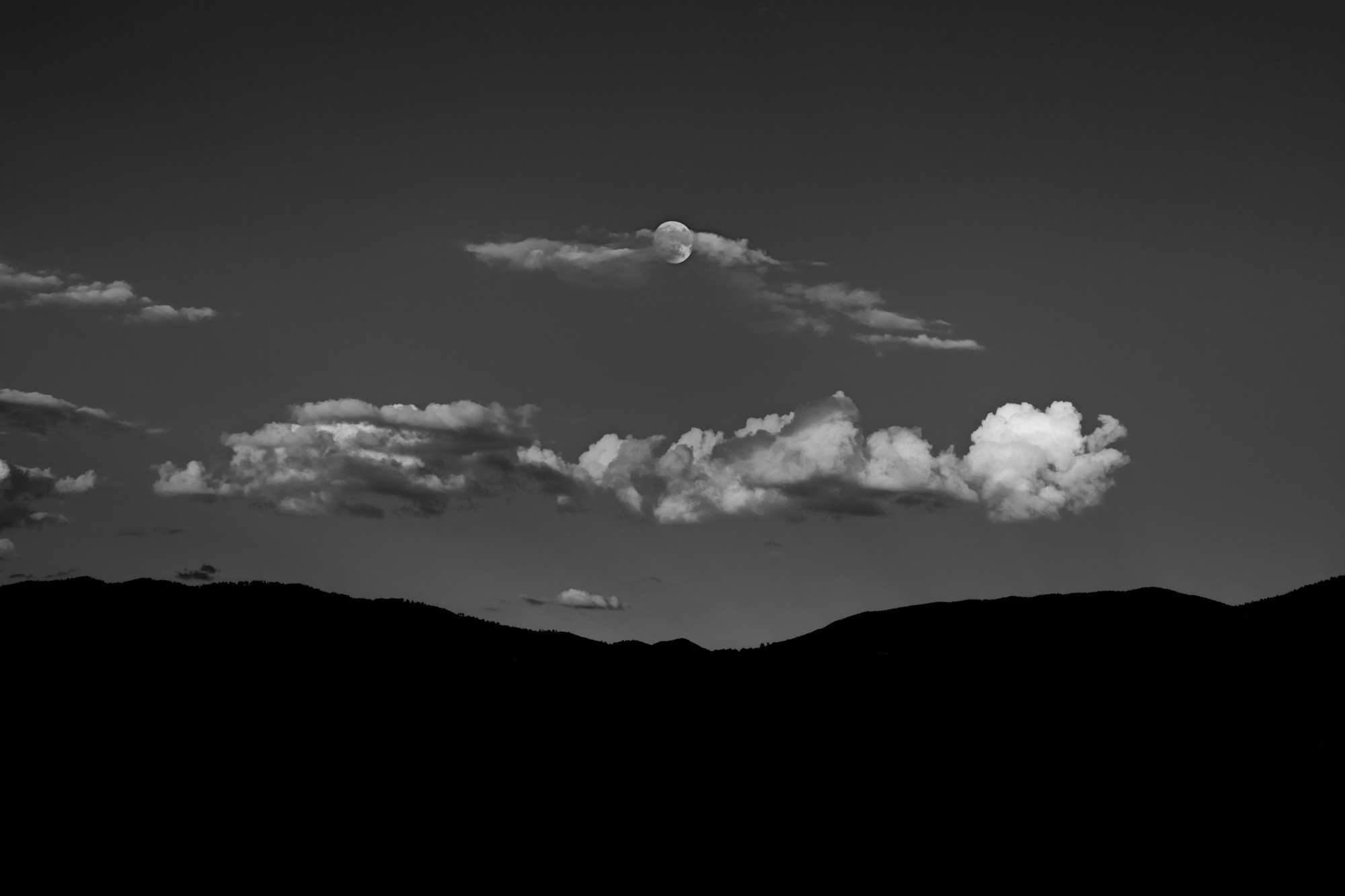 © Jean Miele