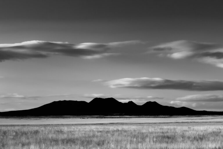 © Jean Miele