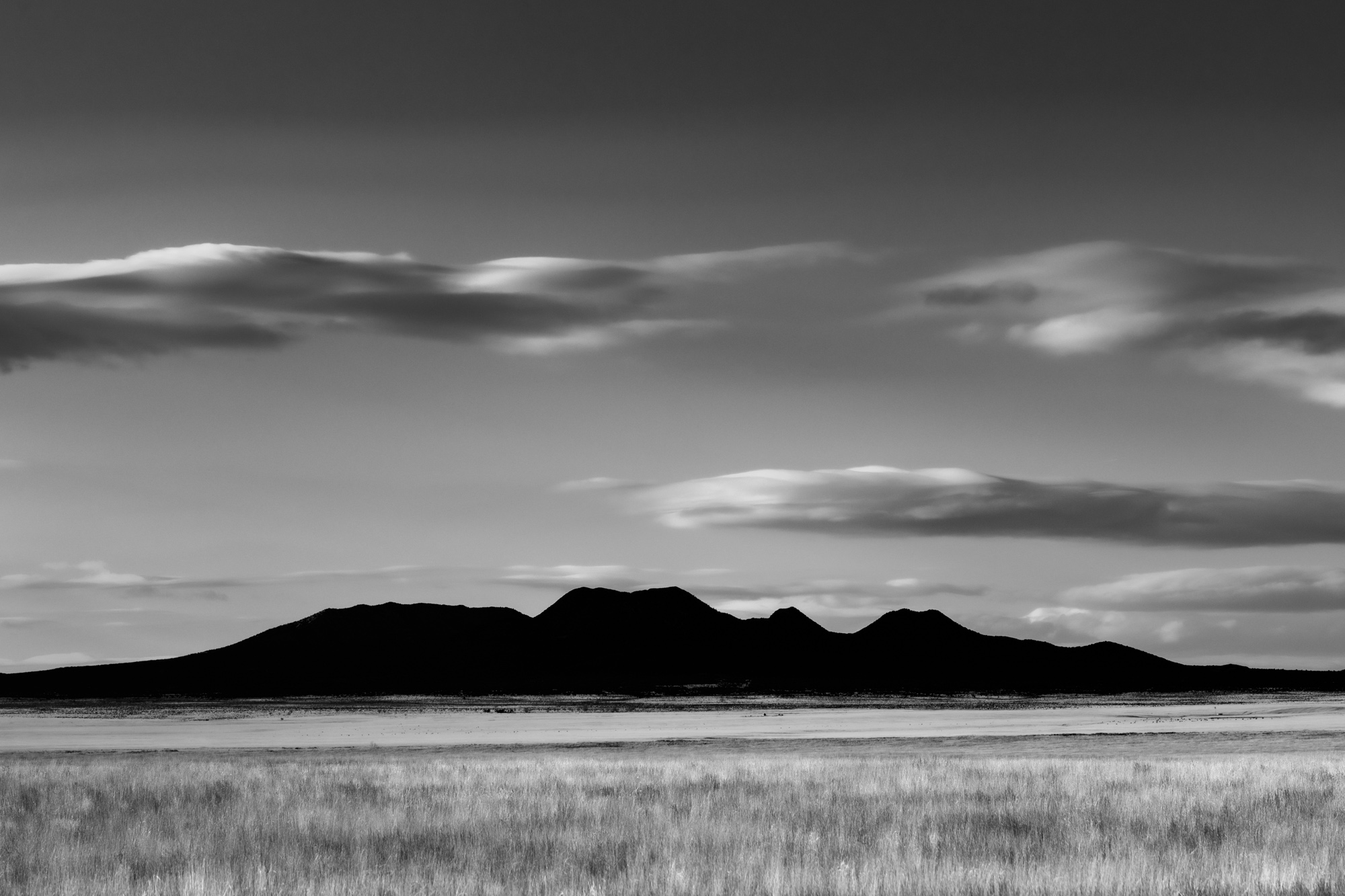 © Jean Miele