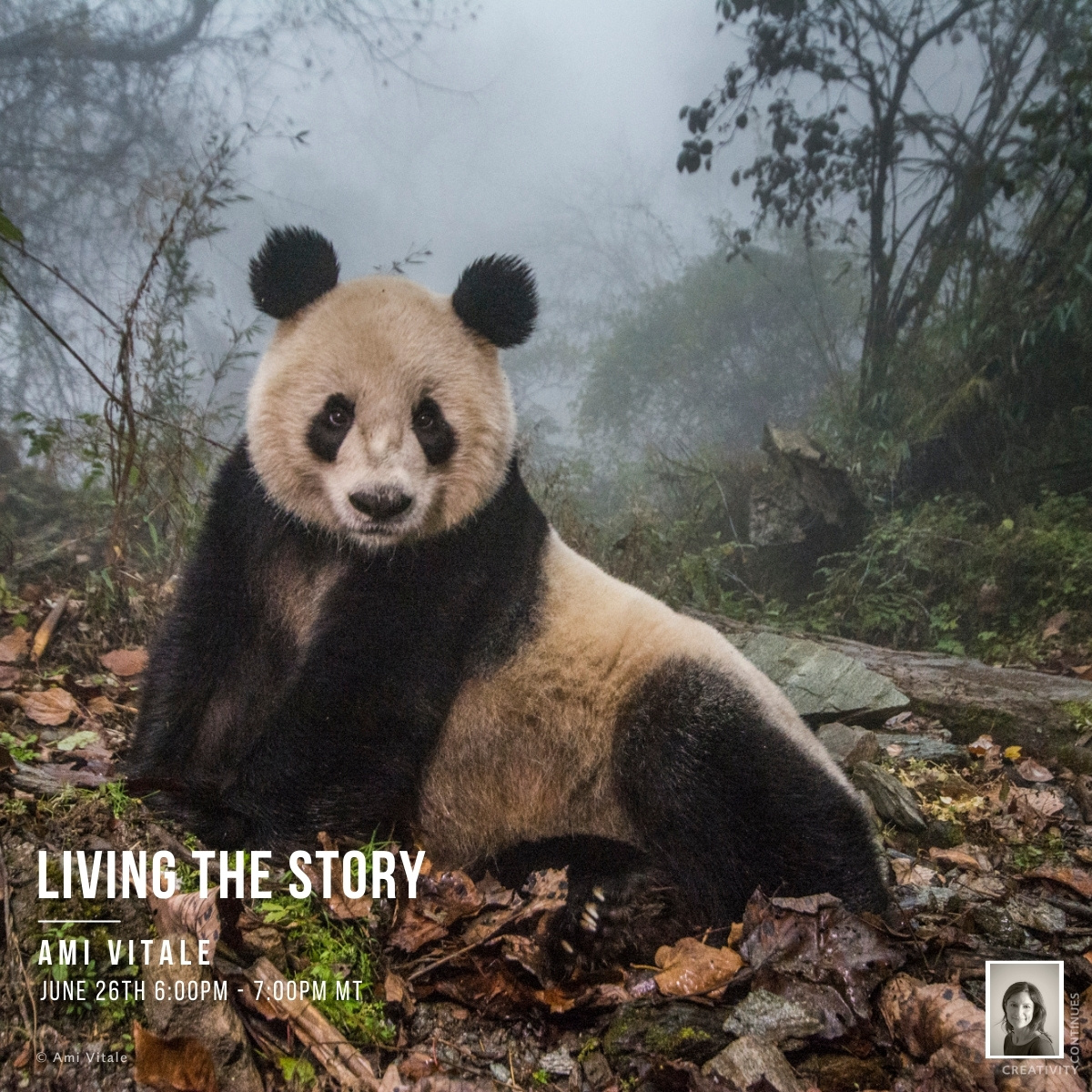 Santa Fe Workshops Creativity Continues Living the Story with Ami Vitale
