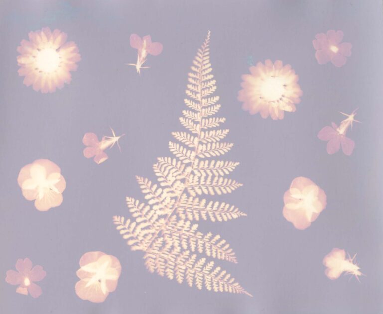 © Vanesssa Marsh