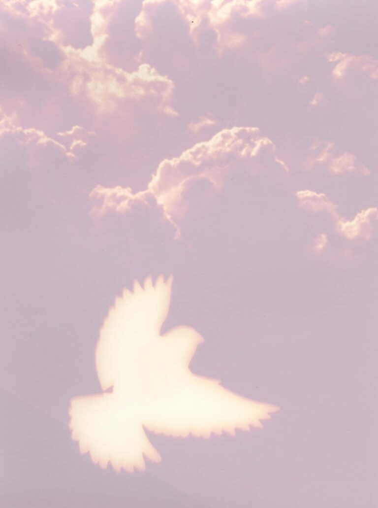 © Vanesssa Marsh