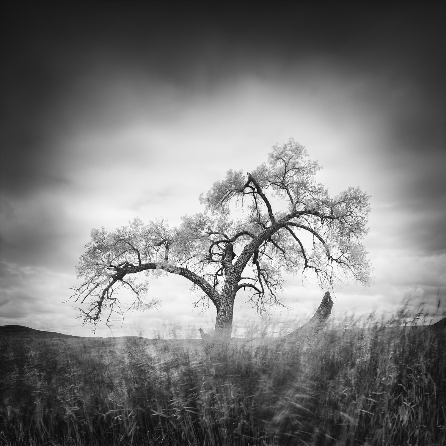 © Thibault Roland