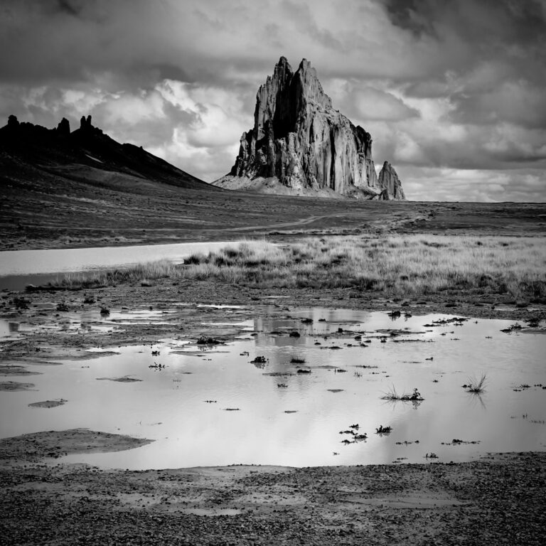 © Carlan Tapp