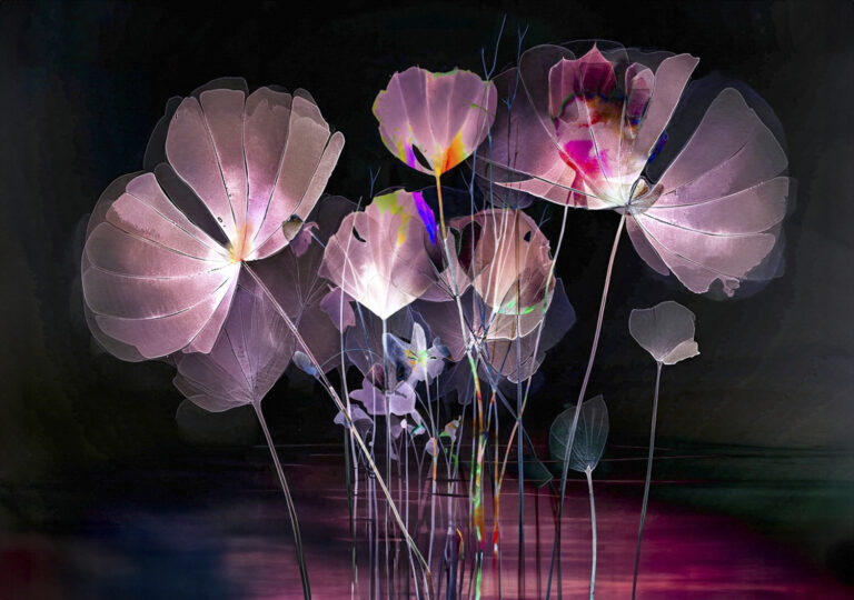 © Leanne Trivett S.