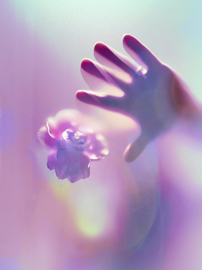 © Leanne Trivett S.