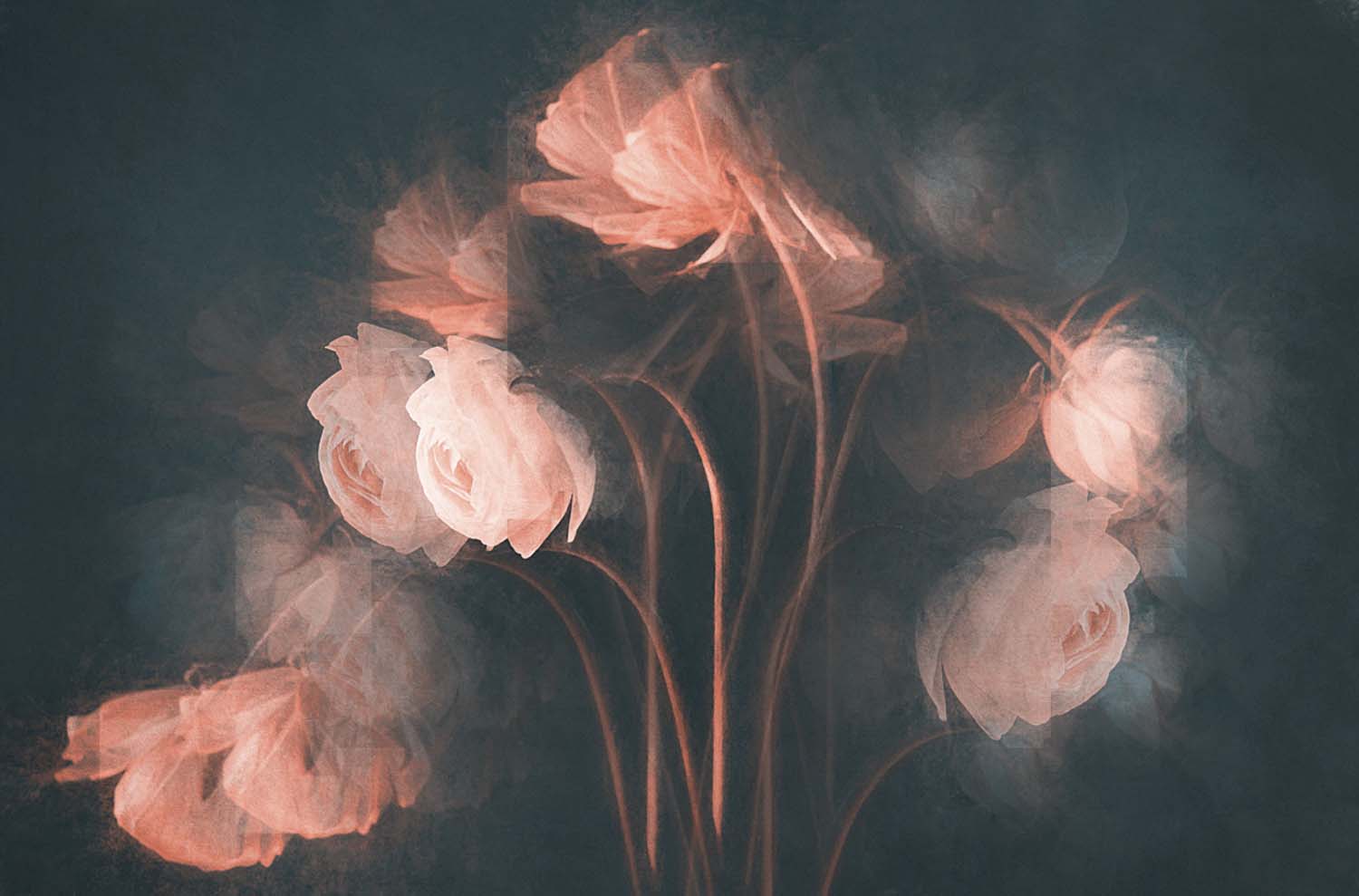 © Leanne Trivett S.