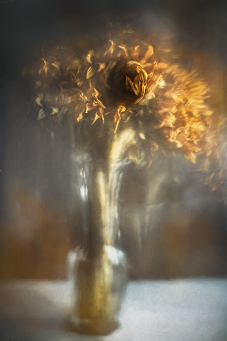 © Leanne Trivett S.