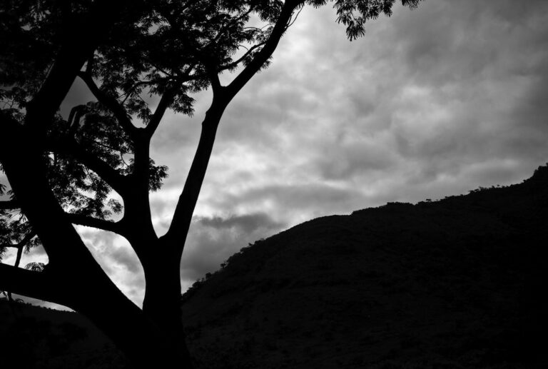 © Carlan Tapp