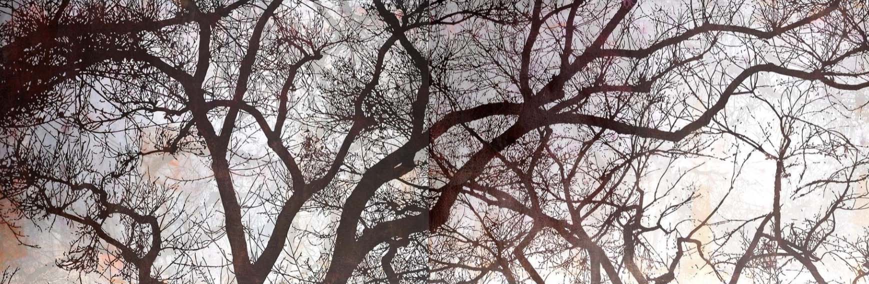 © Maura Allen