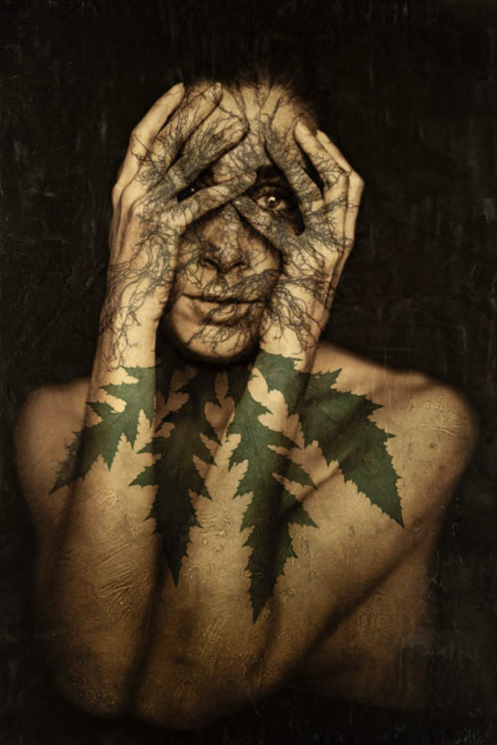 © Fritz Liedtke