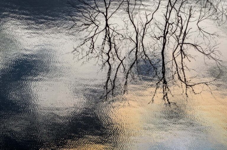 © Xuan-Hui Ng