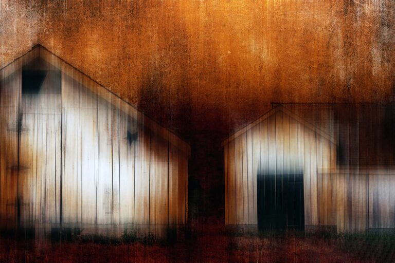 © Roxanne Bouché Overton