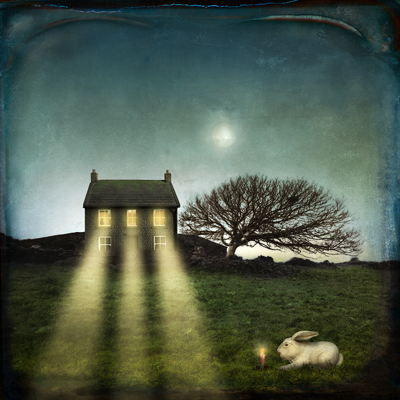© Maggie Taylor