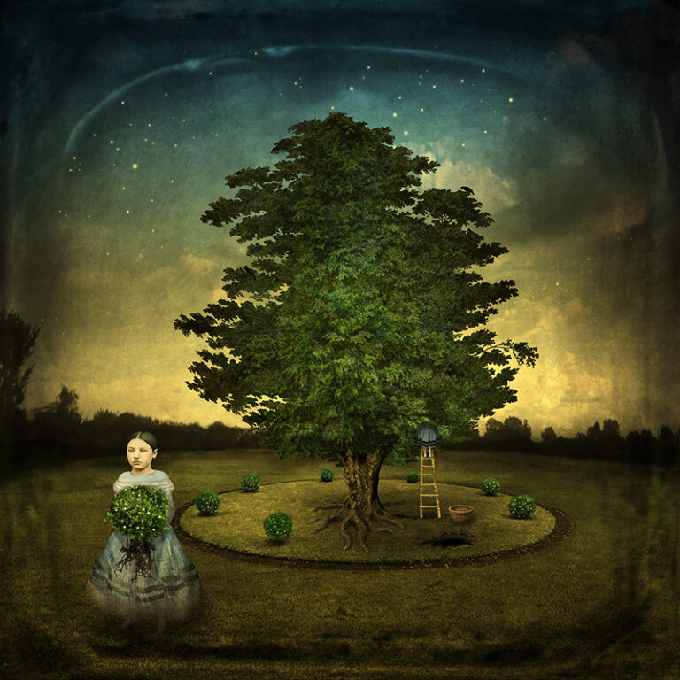 © Maggie Taylor