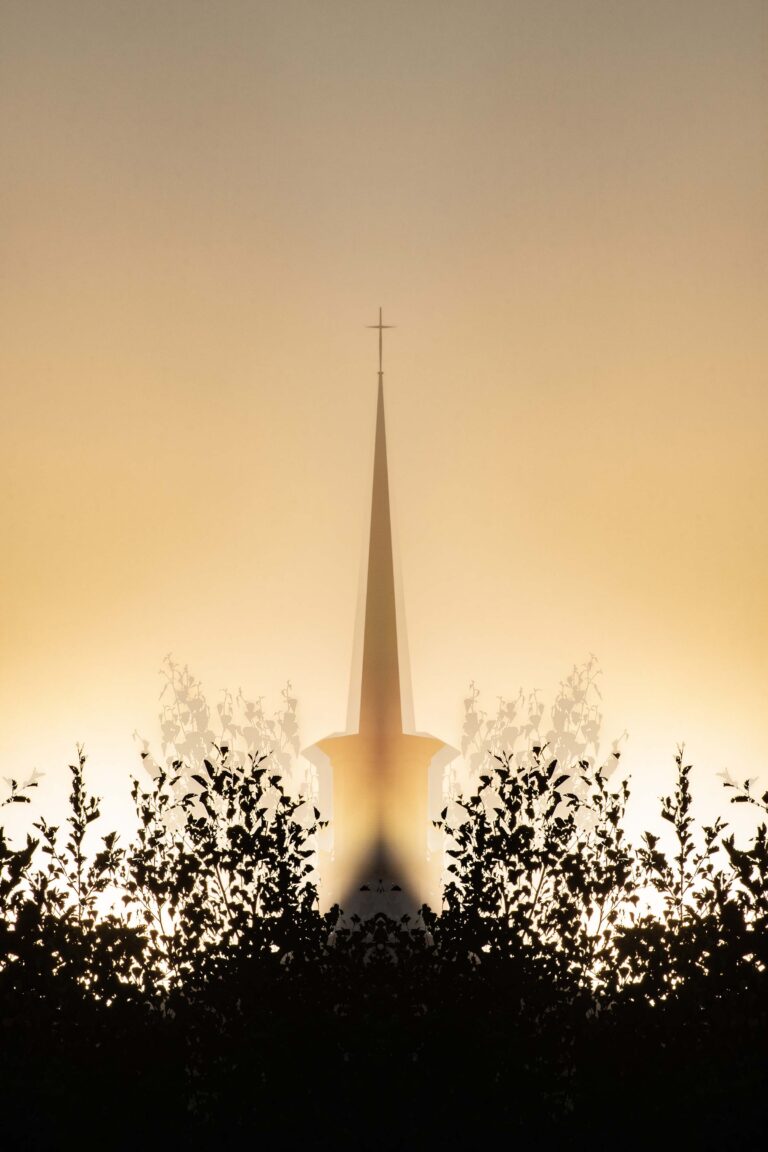 © André Gallant