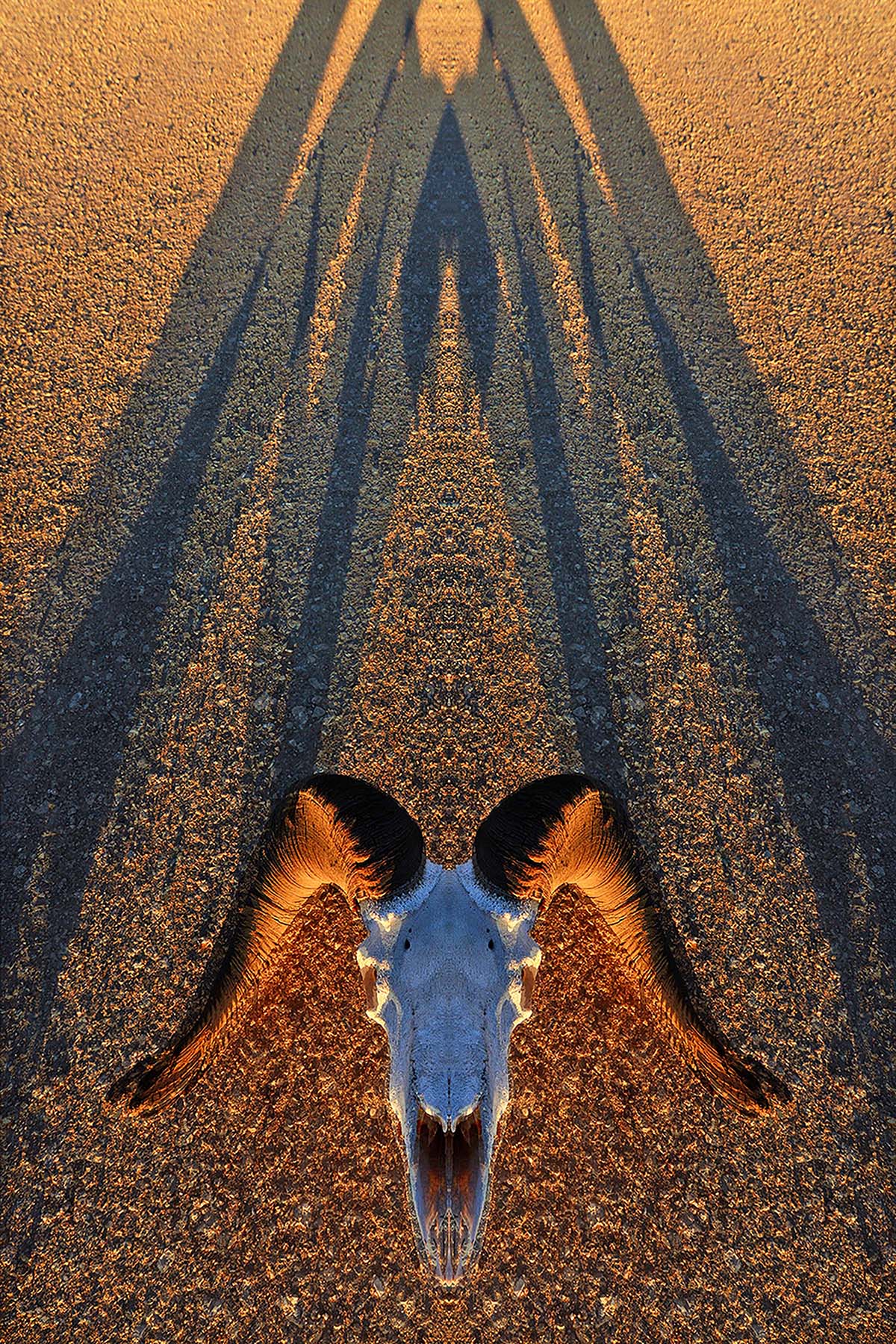 © André Gallant