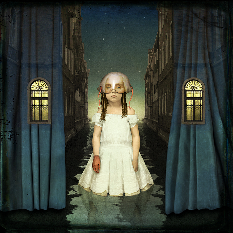 © Maggie Taylor