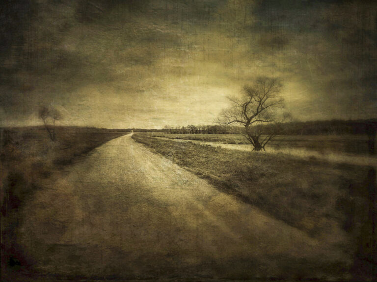 © Dan Burkholder