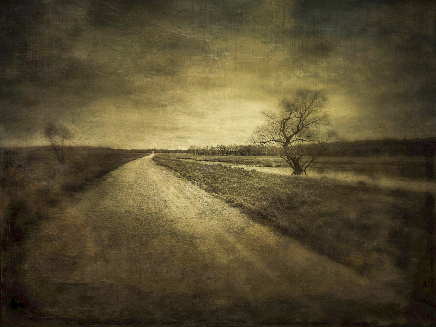 © Dan Burkholder