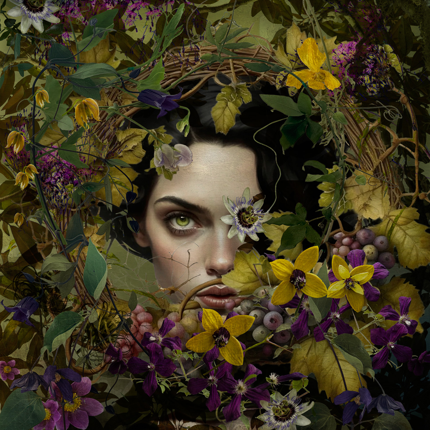 © Ryn Clarke