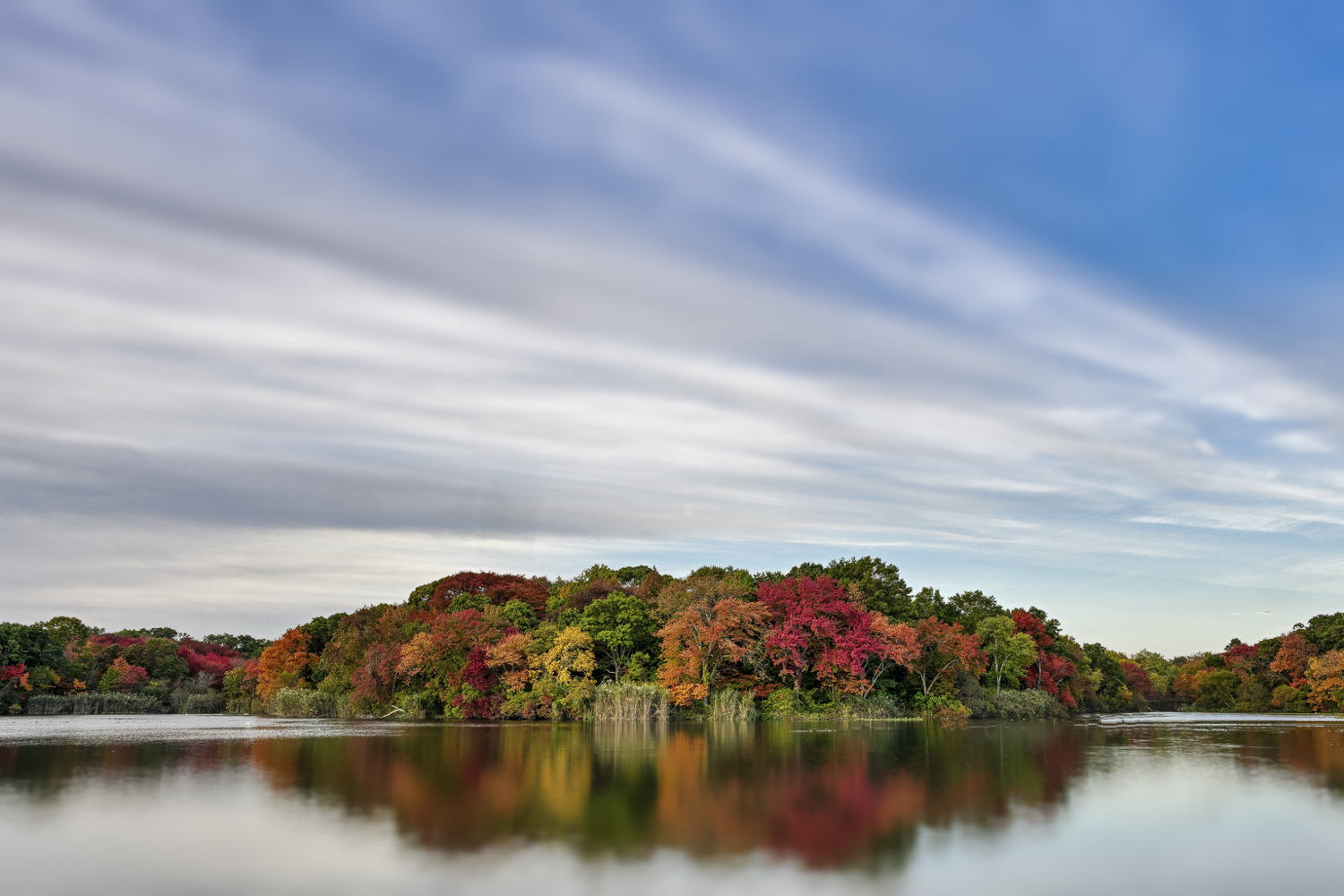 © Lindsay Silverman