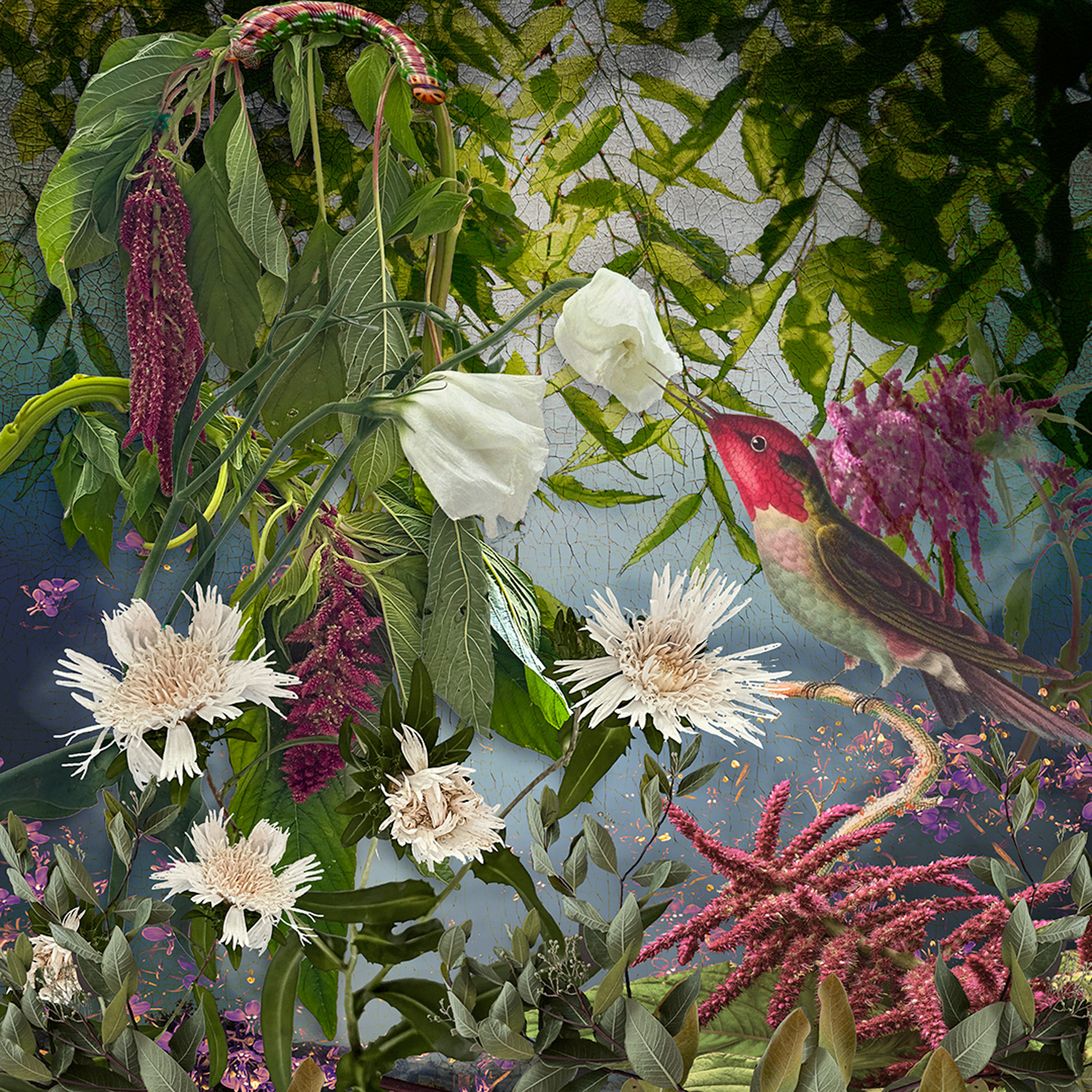 © Ryn Clarke