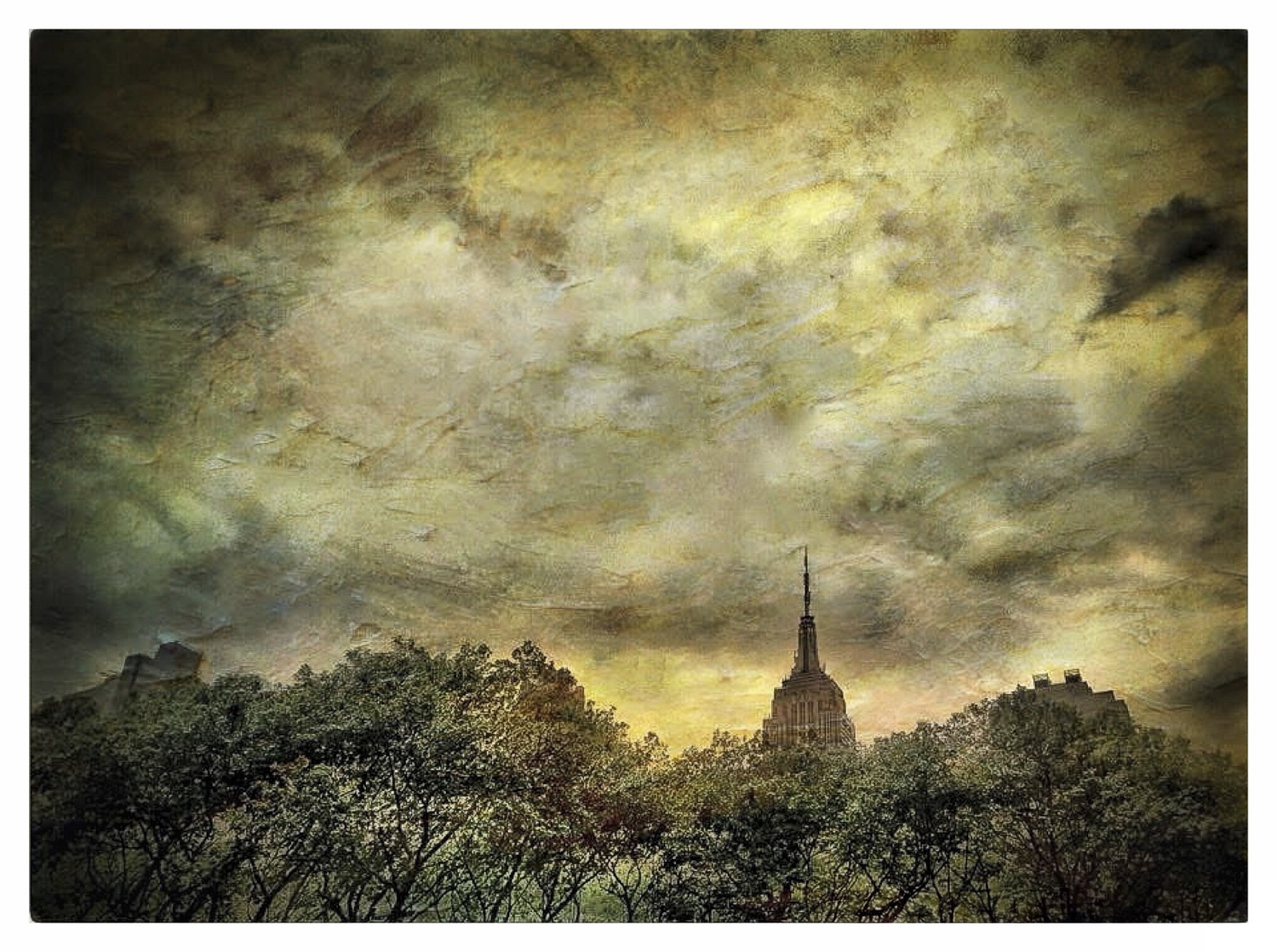 © Dan Burkholder