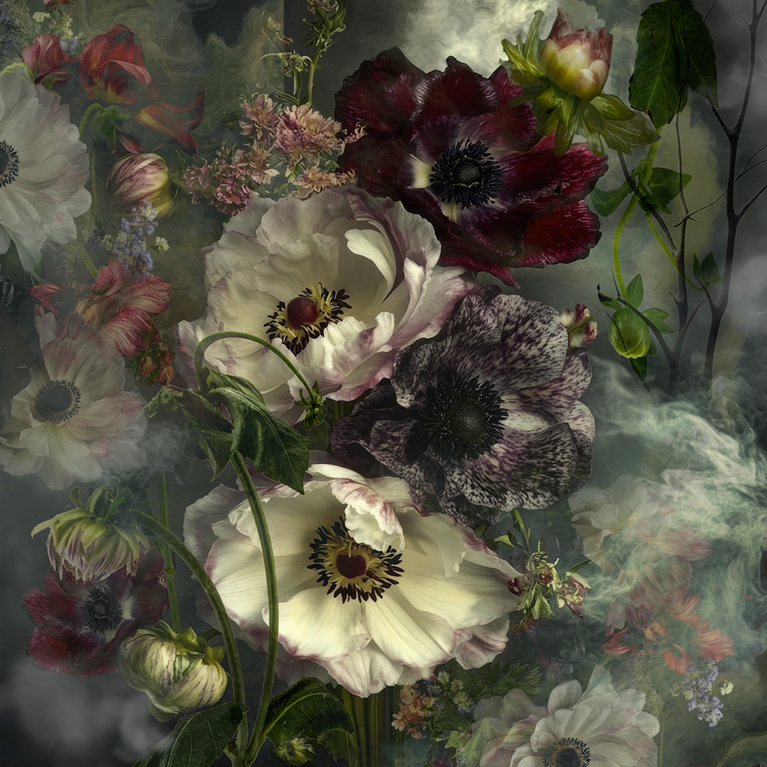 © Ryn Clarke