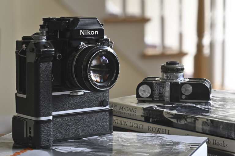 © Lindsay Silverman