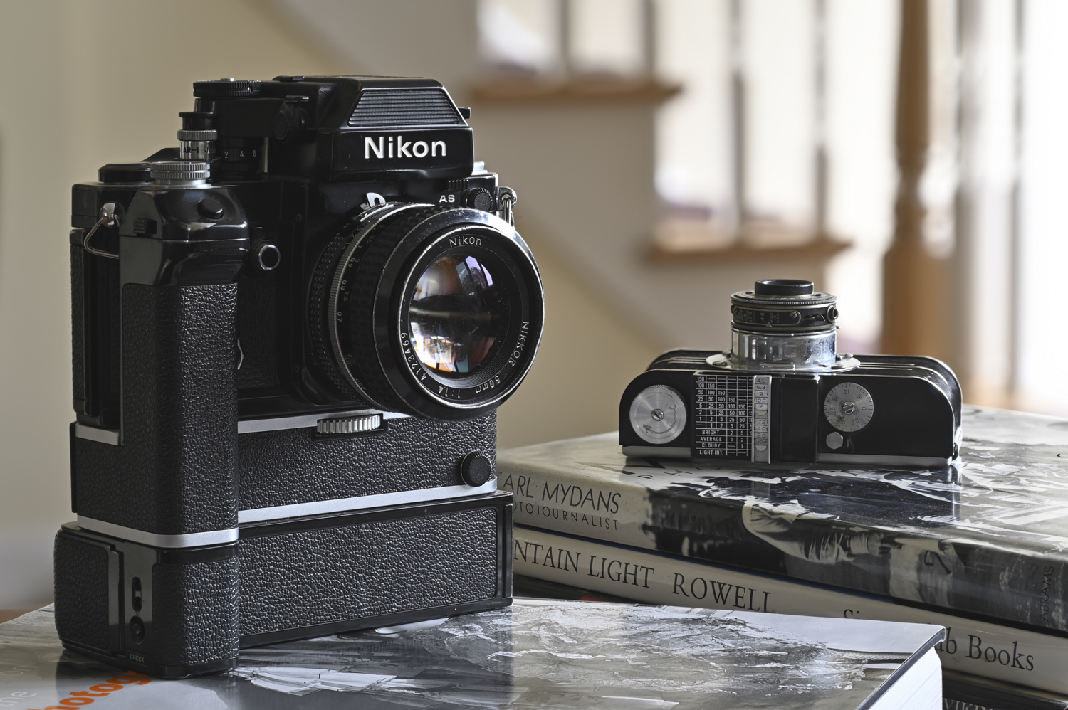 © Lindsay Silverman