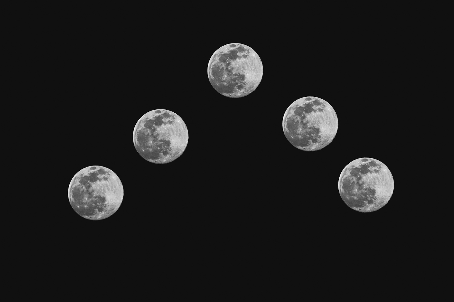 © Lindsay Silverman