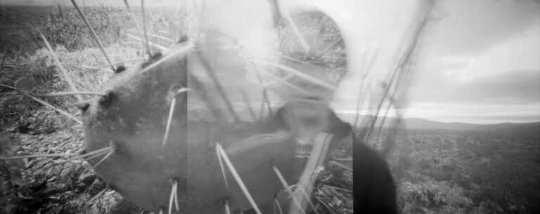 © Zoe Peterson