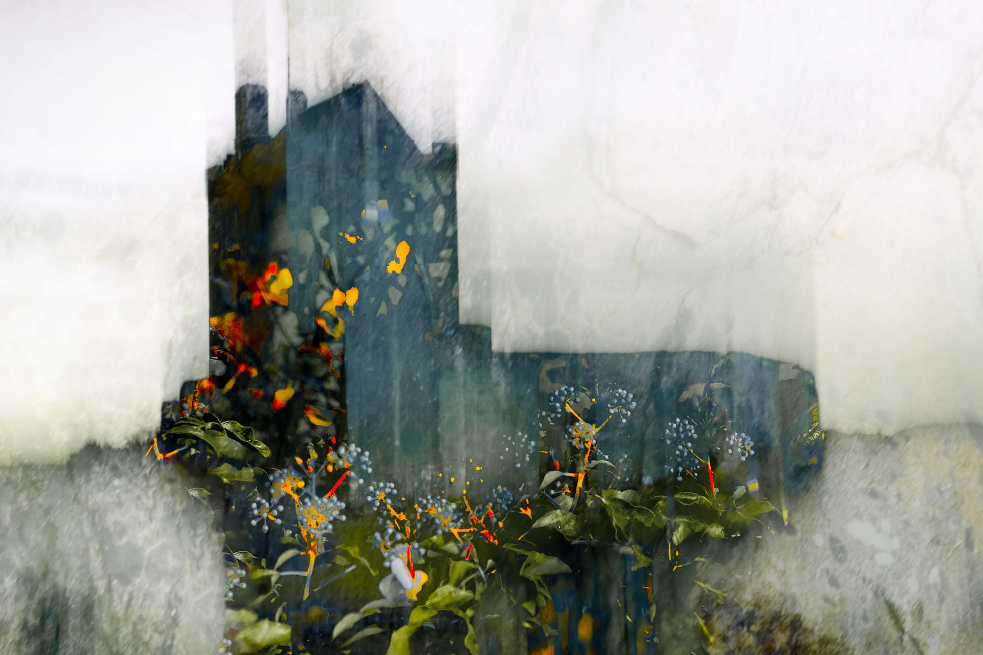 © Renee Lynn